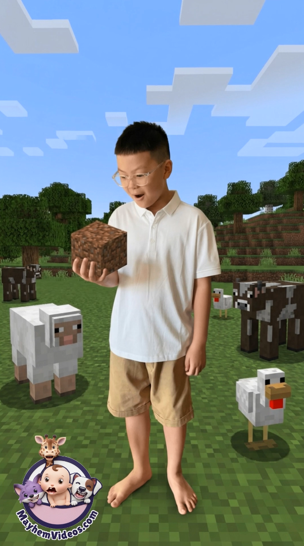Minecraft Combo